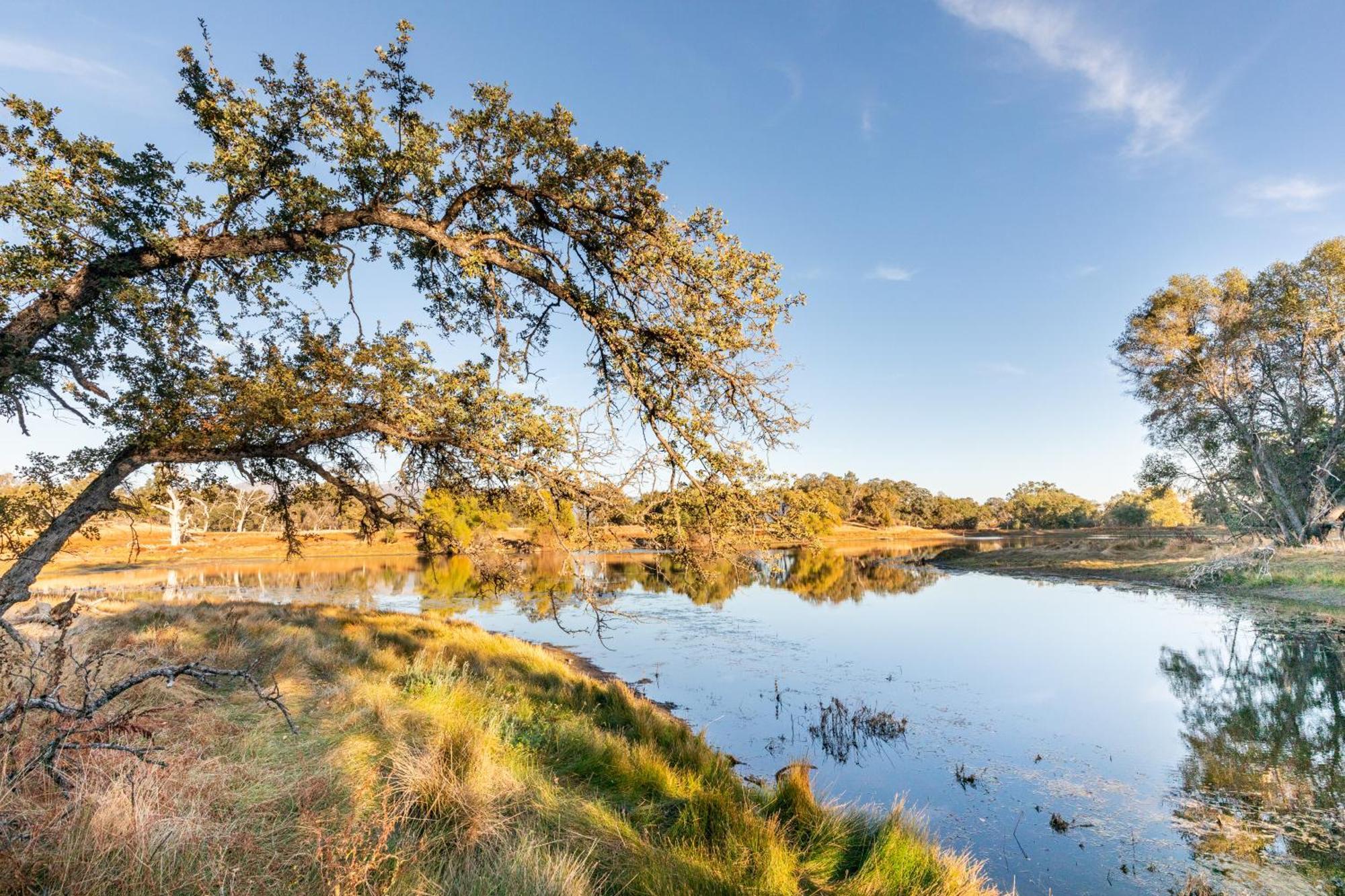 Rolling Oaks Ranch - 200 Acres Of Lakeside Beauty & Countryside Serenity マリポサ エクステリア 写真