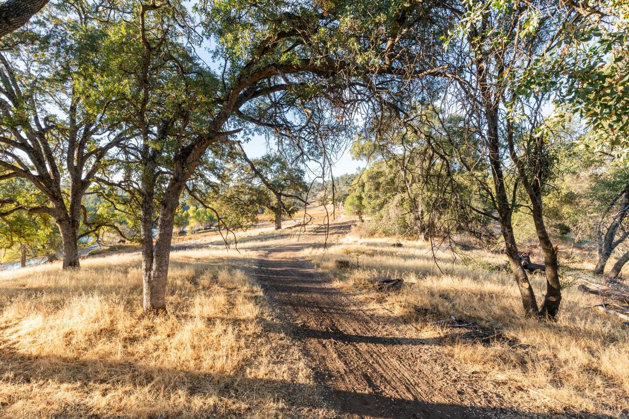 Rolling Oaks Ranch - 200 Acres Of Lakeside Beauty & Countryside Serenity マリポサ エクステリア 写真