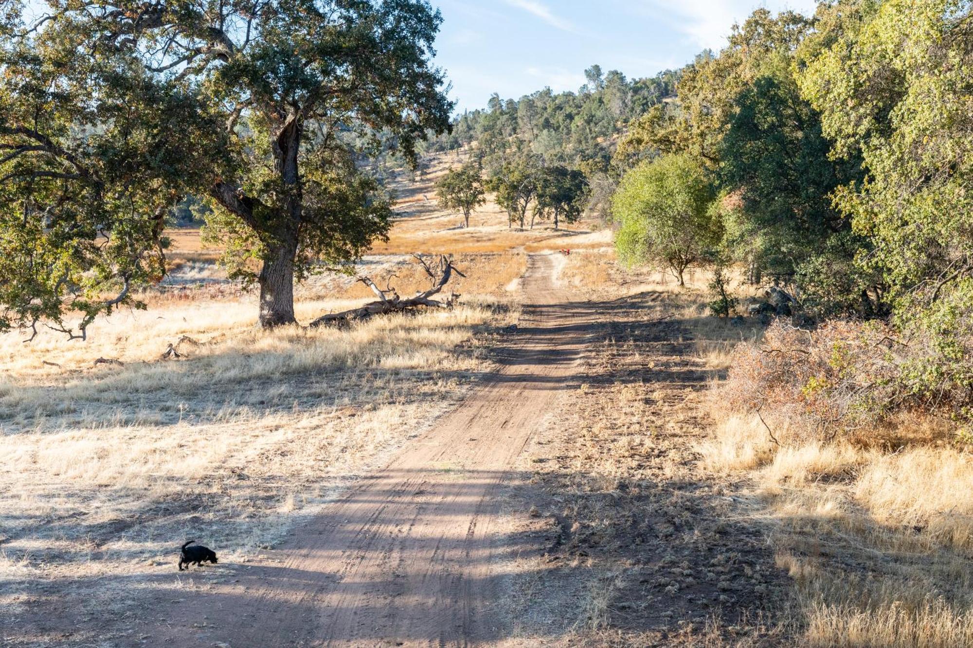 Rolling Oaks Ranch - 200 Acres Of Lakeside Beauty & Countryside Serenity マリポサ エクステリア 写真