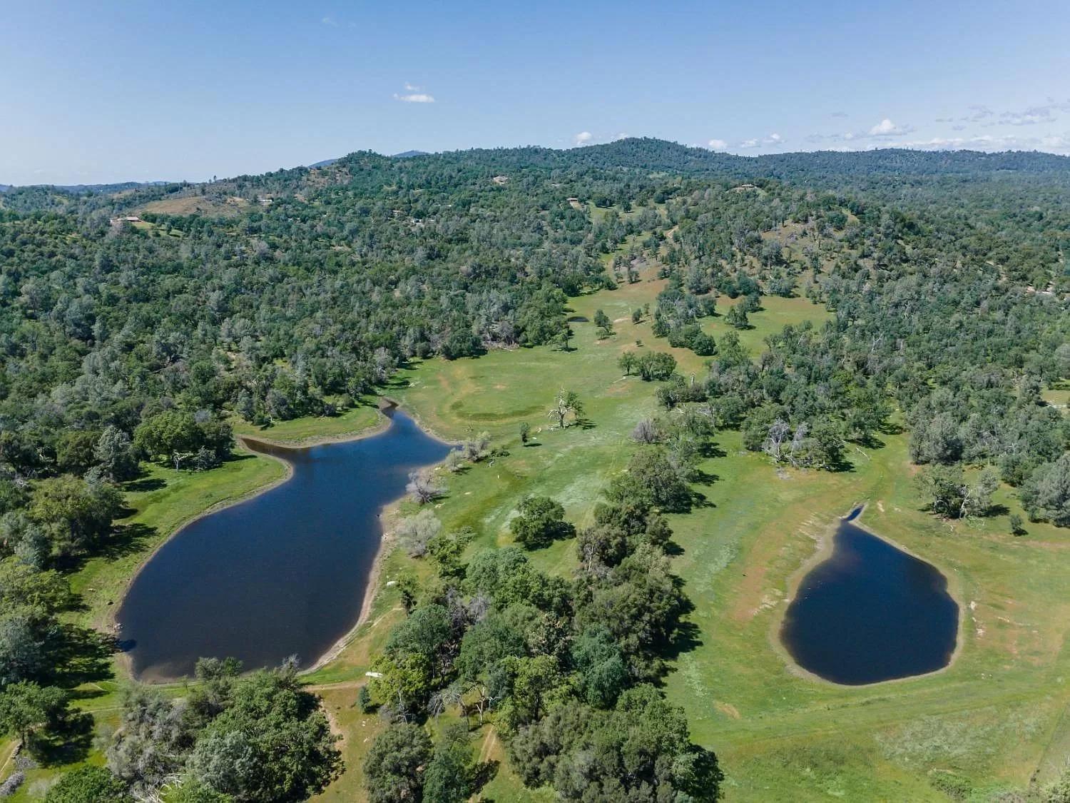 Rolling Oaks Ranch - 200 Acres Of Lakeside Beauty & Countryside Serenity マリポサ エクステリア 写真