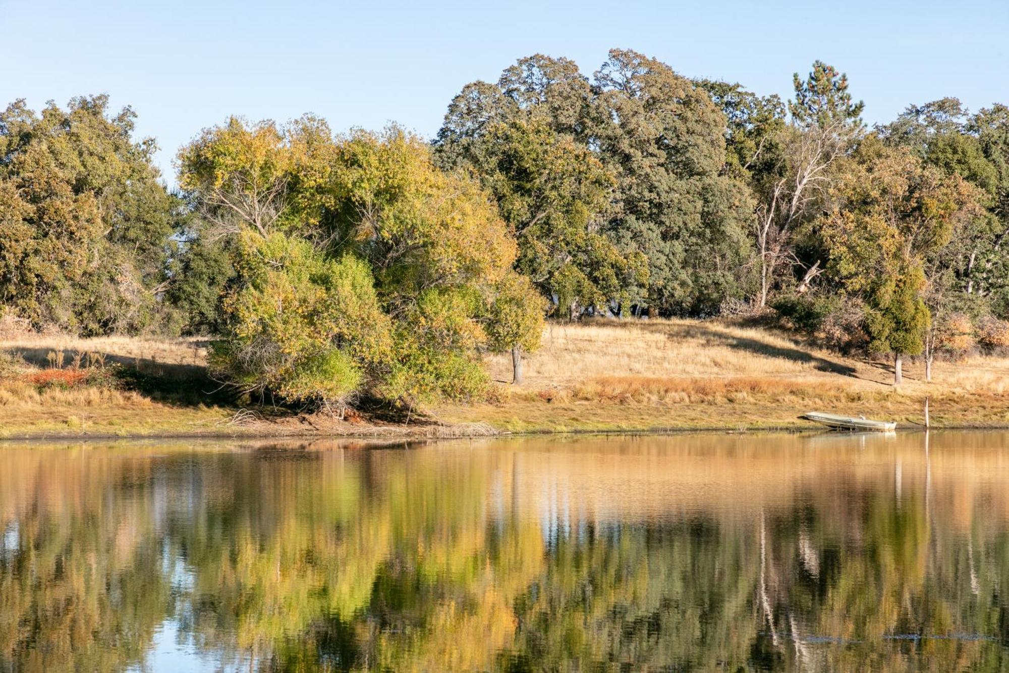 Rolling Oaks Ranch - 200 Acres Of Lakeside Beauty & Countryside Serenity マリポサ エクステリア 写真