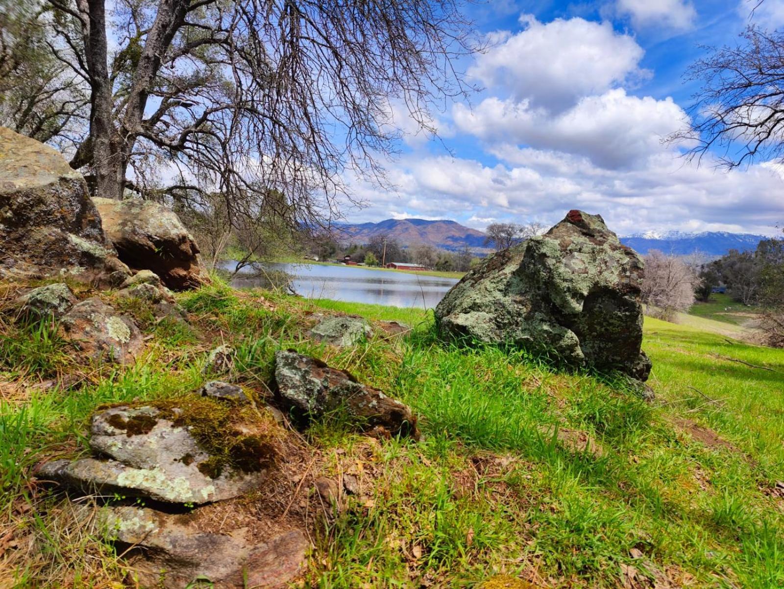 Rolling Oaks Ranch - 200 Acres Of Lakeside Beauty & Countryside Serenity マリポサ エクステリア 写真