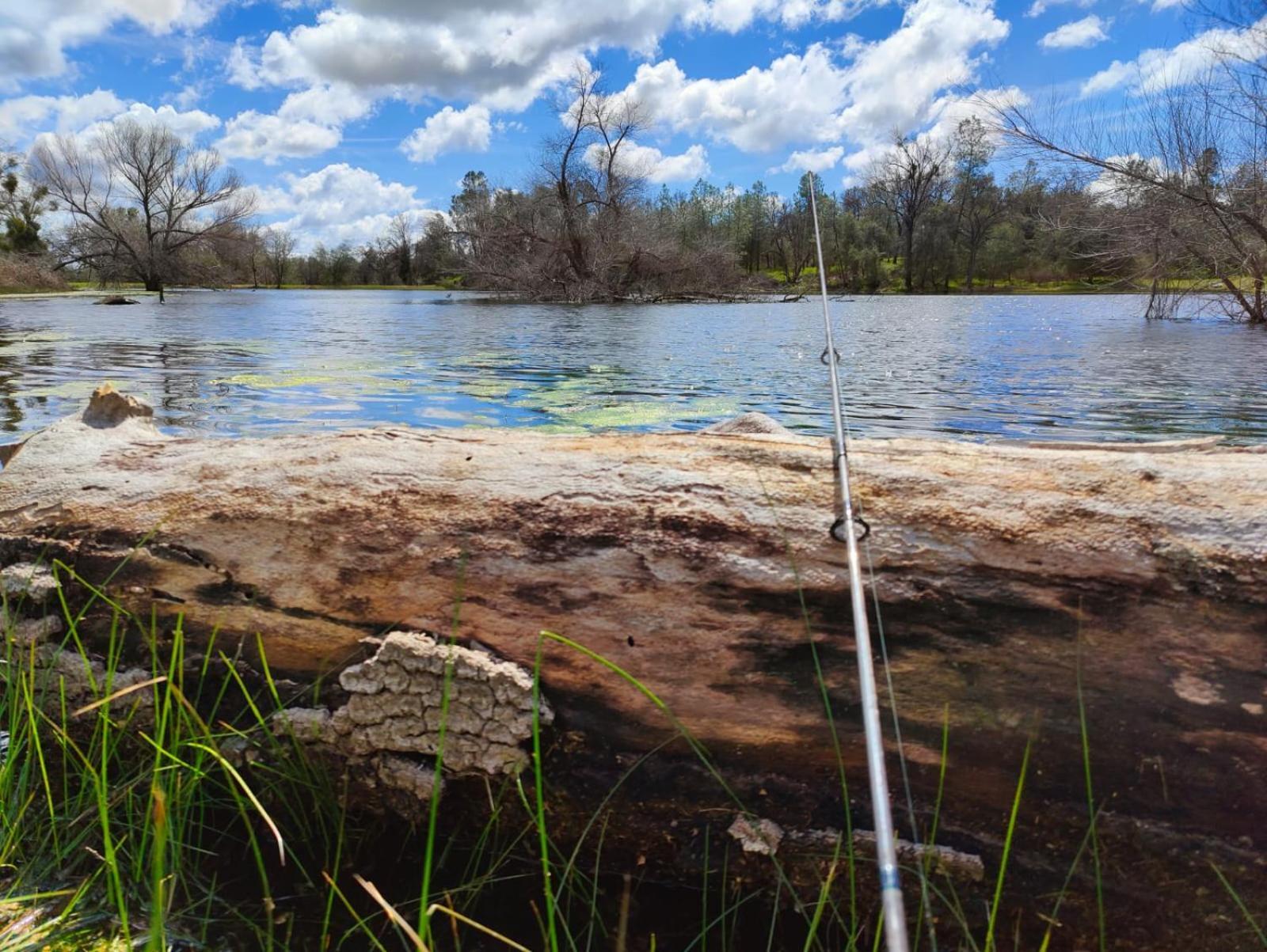 Rolling Oaks Ranch - 200 Acres Of Lakeside Beauty & Countryside Serenity マリポサ エクステリア 写真