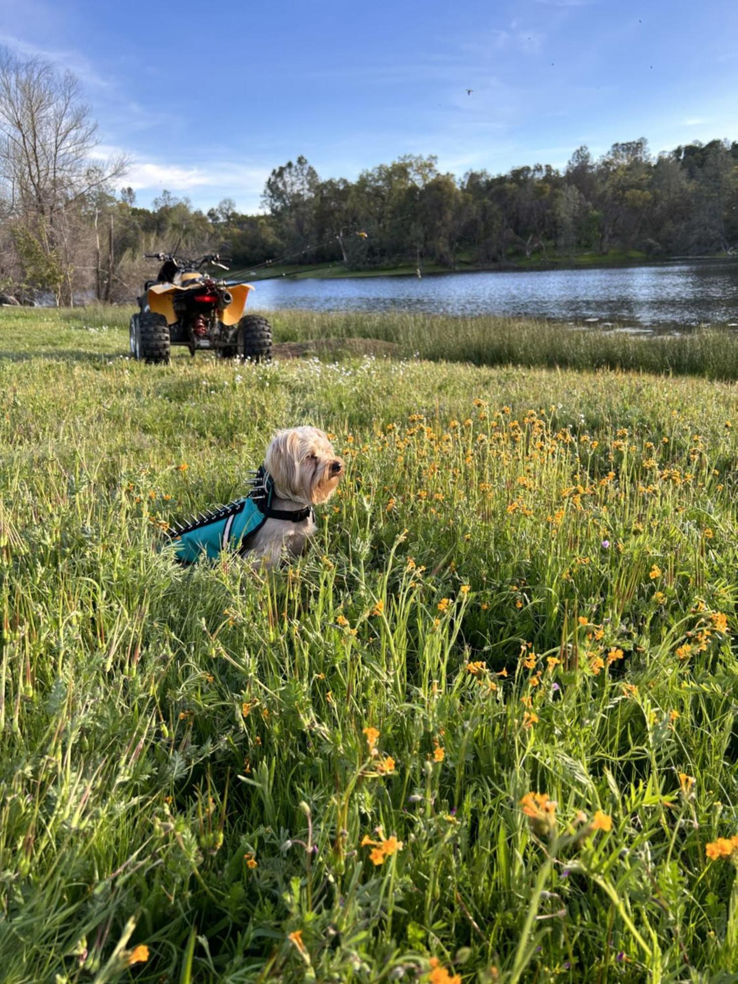 Rolling Oaks Ranch - 200 Acres Of Lakeside Beauty & Countryside Serenity マリポサ エクステリア 写真